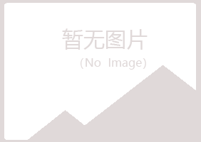 平昌县如霜咨询有限公司